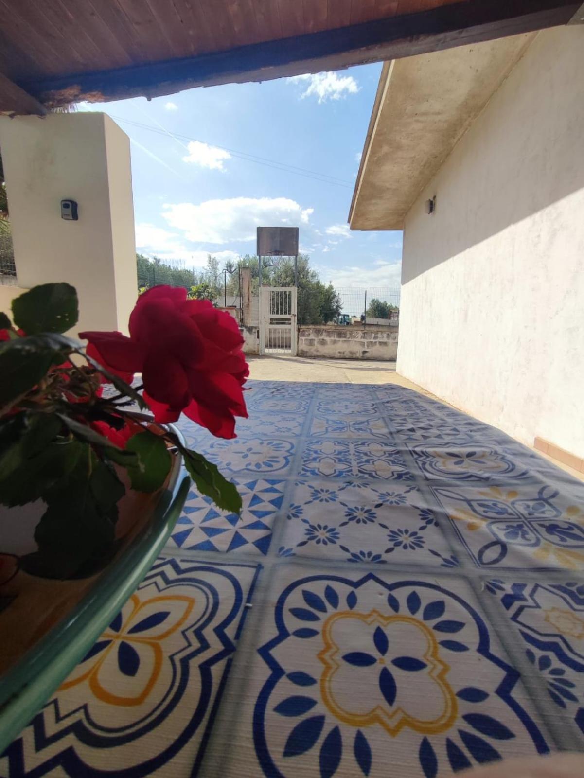 Balestrate Holiday Home 70 Mq Esterno foto